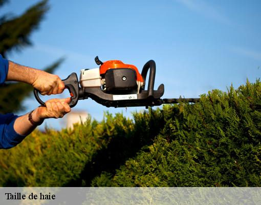 Taille de haie 94520