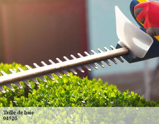 Taille de haie 94520