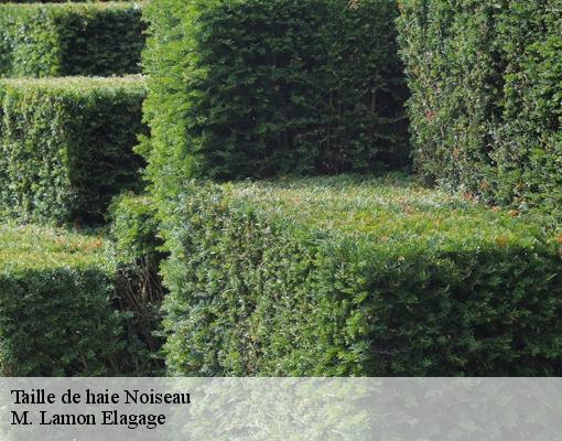 Taille de haie 94880