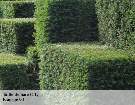 Taille de haie 94310