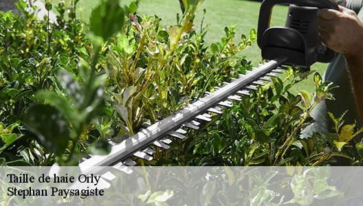 Taille de haie  94310