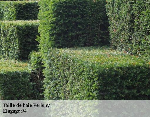 Taille de haie 94520