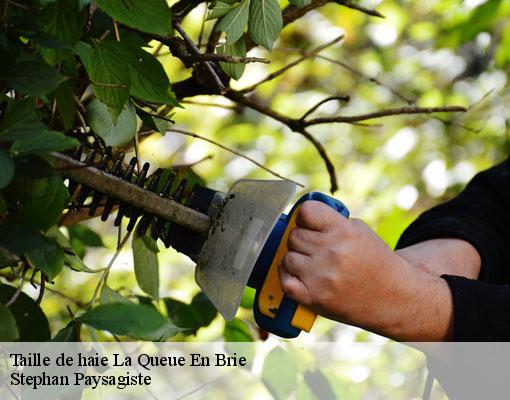 Taille de haie  la-queue-en-brie-94510 Stephan Paysagiste