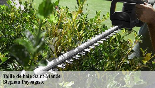 Taille de haie 94160