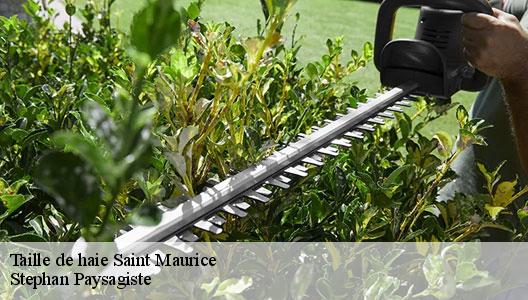 Taille de haie  94410