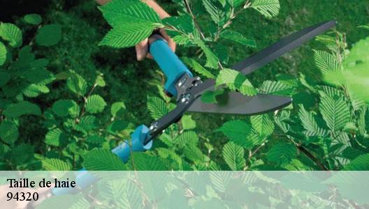 Taille de haie  94320