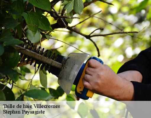 Taille de haie  villecresnes-94440 Stephan Paysagiste