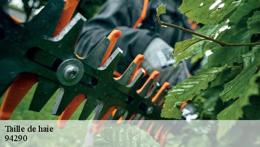 Taille de haie 94290