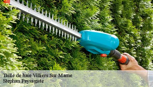 Taille de haie  94350