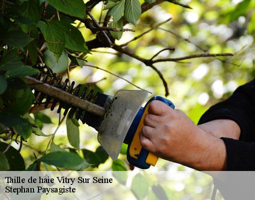 Taille de haie  vitry-sur-seine-94400 Stephan Paysagiste