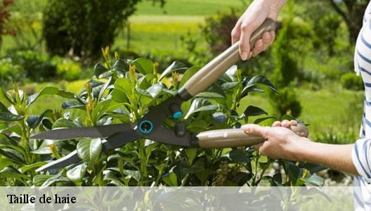 Taille de haie  94390