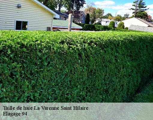 Taille de haie  la-varenne-saint-hilaire-94210 Elagage 94