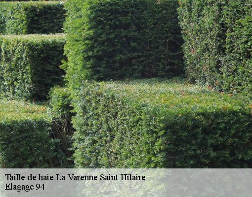 Taille de haie  94210