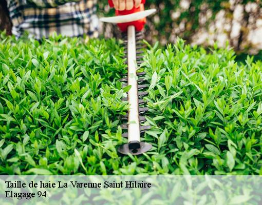 Taille de haie