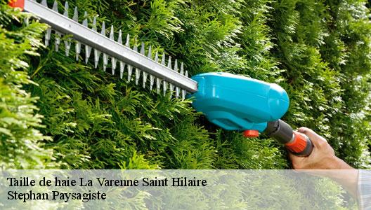 Taille de haie  94210