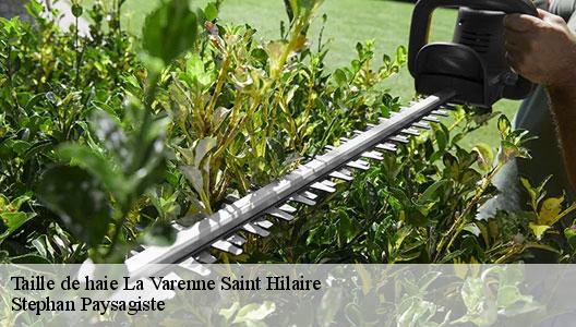 Taille de haie  94210