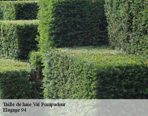 Taille de haie 94460