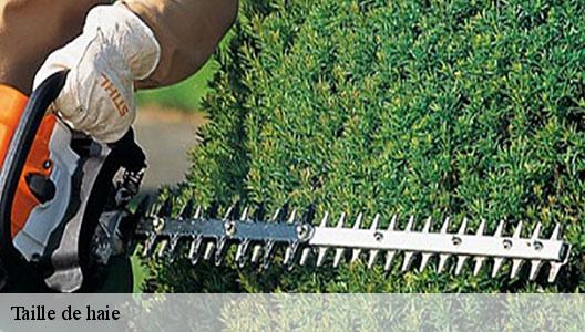 Taille de haie  94460