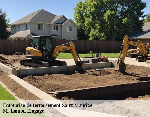 Entreprise de terrassement  saint-maurice-94410 M. Lamon Elagage