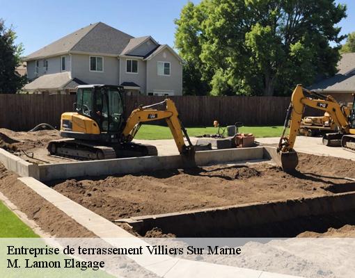 Entreprise de terrassement villiers-sur-marne-94350 M. Lamon Elagage